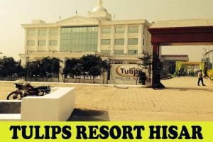 Top 5 Hotel In Hisar